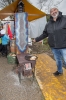 Filename=Dorfmaert_2017-9596-36.JPG
Filesize=714KB
Dimensions=1067x1600
Date added=Nov 27, 2017 Dorfmaert_2017-9596-36.JPG