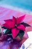 Dateiname=Dorfmaert_2017-3744867172611-81.JPG
Dateigröße=705KB
Abmessungen: 1067x1600
hinzugefügt am: 10. Dezember 2017 Dorfmaert_2017-3744867172611-81.JPG