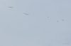 Filename=Buttikon-0068-07.JPG
Filesize=549KB
Dimensions=1920x1280
Date added=Dec 25, 2017 Buttikon-0068-07.JPG