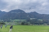 Filename=Buttikon-0277-15.JPG
Filesize=514KB
Dimensions=1920x1280
Date added=Dec 25, 2017 Buttikon-0277-15.JPG