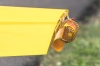 Dateiname=Flugtag-Hausen2018-EOS58614-131.jpg
Dateigröße=612KB
Abmessungen: 1920x1280
hinzugefügt am: 13. Oktober 2018 Flugtag-Hausen2018-EOS58614-131.jpg