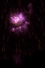 Dateiname=Feuerwerk_August-2019-IMG_2709-48.jpg
Dateigröße=1299KB
Abmessungen: 1280x1920
hinzugefügt am: 02. August 2019 Feuerwerk_August-2019-IMG_2709-48.jpg