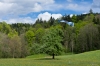 Filename=Modellflug_2012--93-6598.jpg
Filesize=1169KB
Dimensions=1600x1067
Date added=May 09, 2012 Modellflug_2012--93-6598.jpg