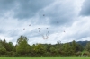 Dateiname=Bild-68-Hausen-IMG_4960.jpg
Dateigröße=710KB
Abmessungen: 1800x1200
hinzugefügt am: 26. Oktober 2019 Bild-68-Hausen-IMG_4960.jpg