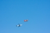Dateiname=Modellflug_9_Sept_09_--2333.jpg
Dateigröße=517KB
Abmessungen: 1280x853
hinzugefügt am: 12. September 2009 Modellflug_9_Sept_09_--2333.jpg