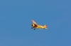 Modellflug_-_17__Juni_2009_--4566.jpg