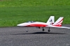 Modellflug-Hausen-2010-1996-238.jpg