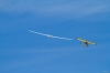 Dateiname=Modellflug-Hausen-2010-2939-20.jpg
Dateigröße=494KB
Abmessungen: 1600x1067
hinzugefügt am: 24. Oktober 2010 Modellflug-Hausen-2010-2939-20.jpg