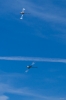 Dateiname=Modellflug-Hausen-2010-3252-41.jpg
Dateigröße=433KB
Abmessungen: 800x1200
hinzugefügt am: 24. Oktober 2010 Modellflug-Hausen-2010-3252-41.jpg