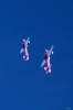 Dateiname=Modellflug-Hausen-2010-3399-49.jpg
Dateigröße=406KB
Abmessungen: 800x1200
hinzugefügt am: 24. Oktober 2010 Modellflug-Hausen-2010-3399-49.jpg