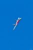 Dateiname=Modellflug-Hausen-2010-3628-62.jpg
Dateigröße=500KB
Abmessungen: 800x1200
hinzugefügt am: 24. Oktober 2010 Modellflug-Hausen-2010-3628-62.jpg