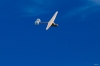 Dateiname=Modellflug-Hausen-2010-3698-70.jpg
Dateigröße=602KB
Abmessungen: 1600x1067
hinzugefügt am: 24. Oktober 2010 Modellflug-Hausen-2010-3698-70.jpg