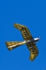 Dateiname=Modellflug-Hausen-2010-4241-105.jpg
Dateigröße=632KB
Abmessungen: 800x1200
hinzugefügt am: 24. Oktober 2010 Modellflug-Hausen-2010-4241-105.jpg