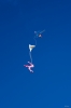 Dateiname=Modellflug-Hausen-2010-7558-133.jpg
Dateigröße=206KB
Abmessungen: 800x1200
hinzugefügt am: 24. Oktober 2010 Modellflug-Hausen-2010-7558-133.jpg