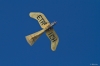 Filename=Modellflug_2011-1-5523.jpg
Filesize=434KB
Dimensions=1600x1067
Date added=Oct 01, 2011 Modellflug_2011-1-5523.jpg